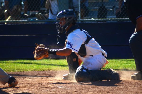 Division III: Sequoia finding itself