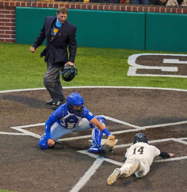 The Peninsula's prize catches