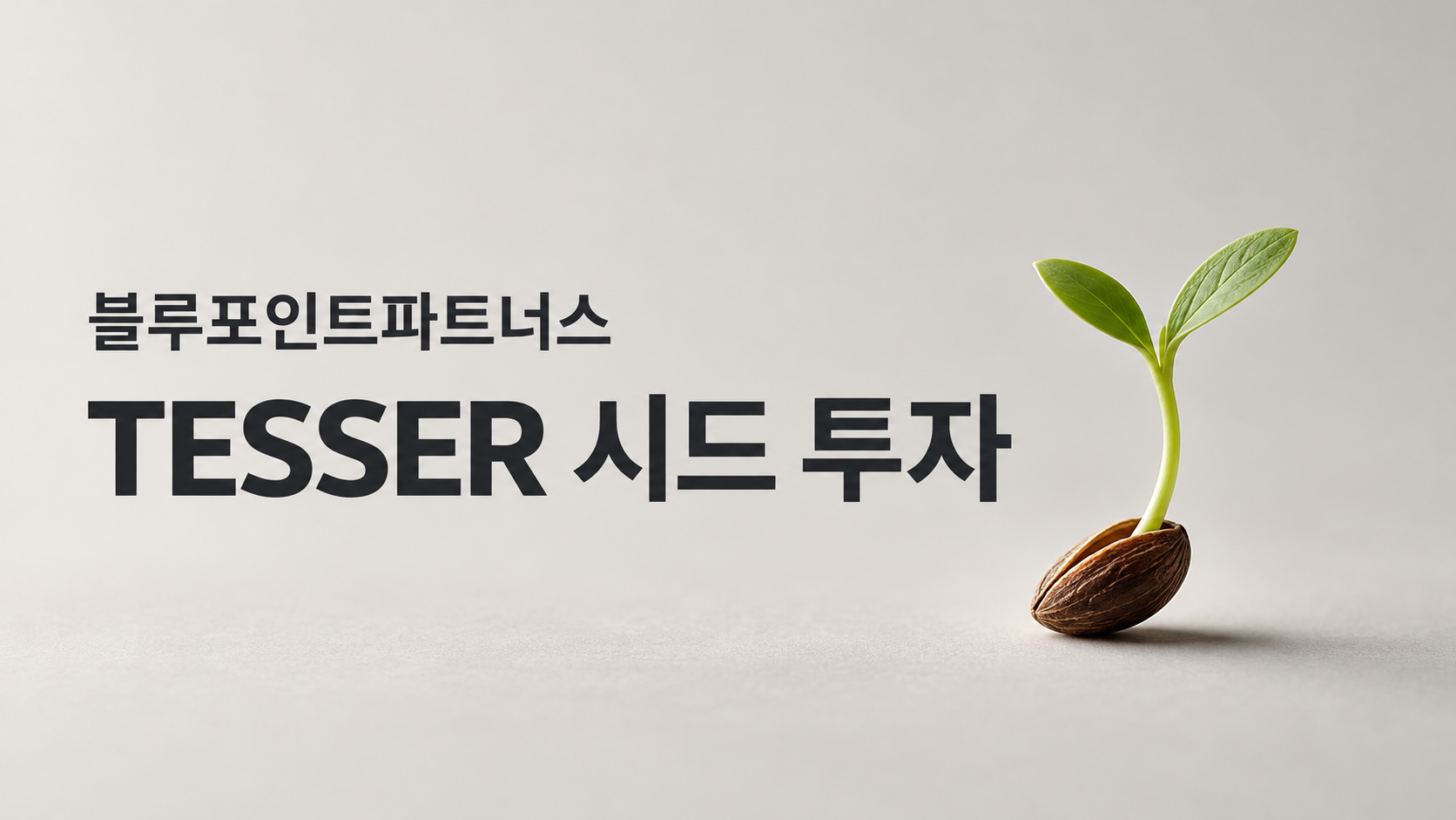 블루포인트의 시드 투자, 온톨의 기술과 서비스를 키우는 첫 동행