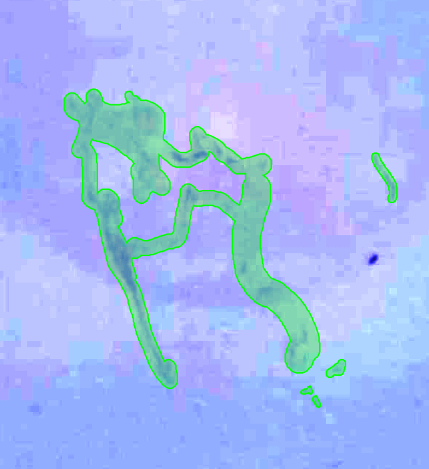 디지털 병리 프리뷰 이미지  AI 데이터라벨링, 왜 필요한가?