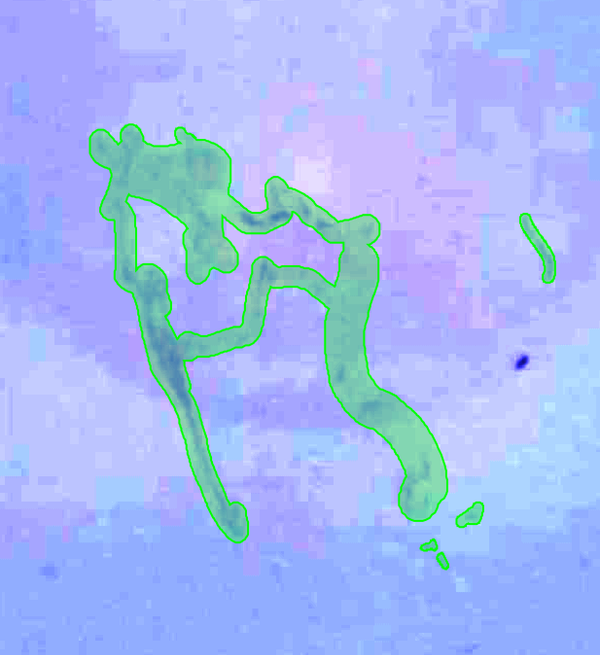 디지털 병리 프리뷰 이미지  AI 데이터라벨링, 왜 필요한가?