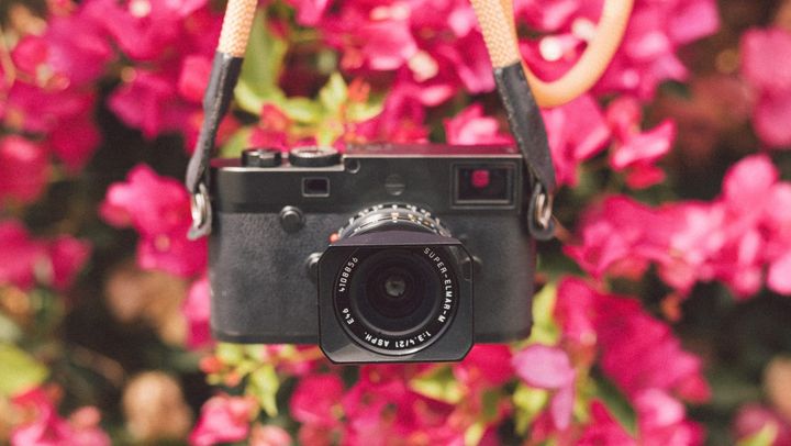Leica M10 Monochrom in front of a pink flower bush