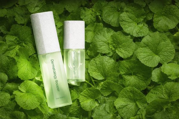 Do You Really Need the Dermatology First Package