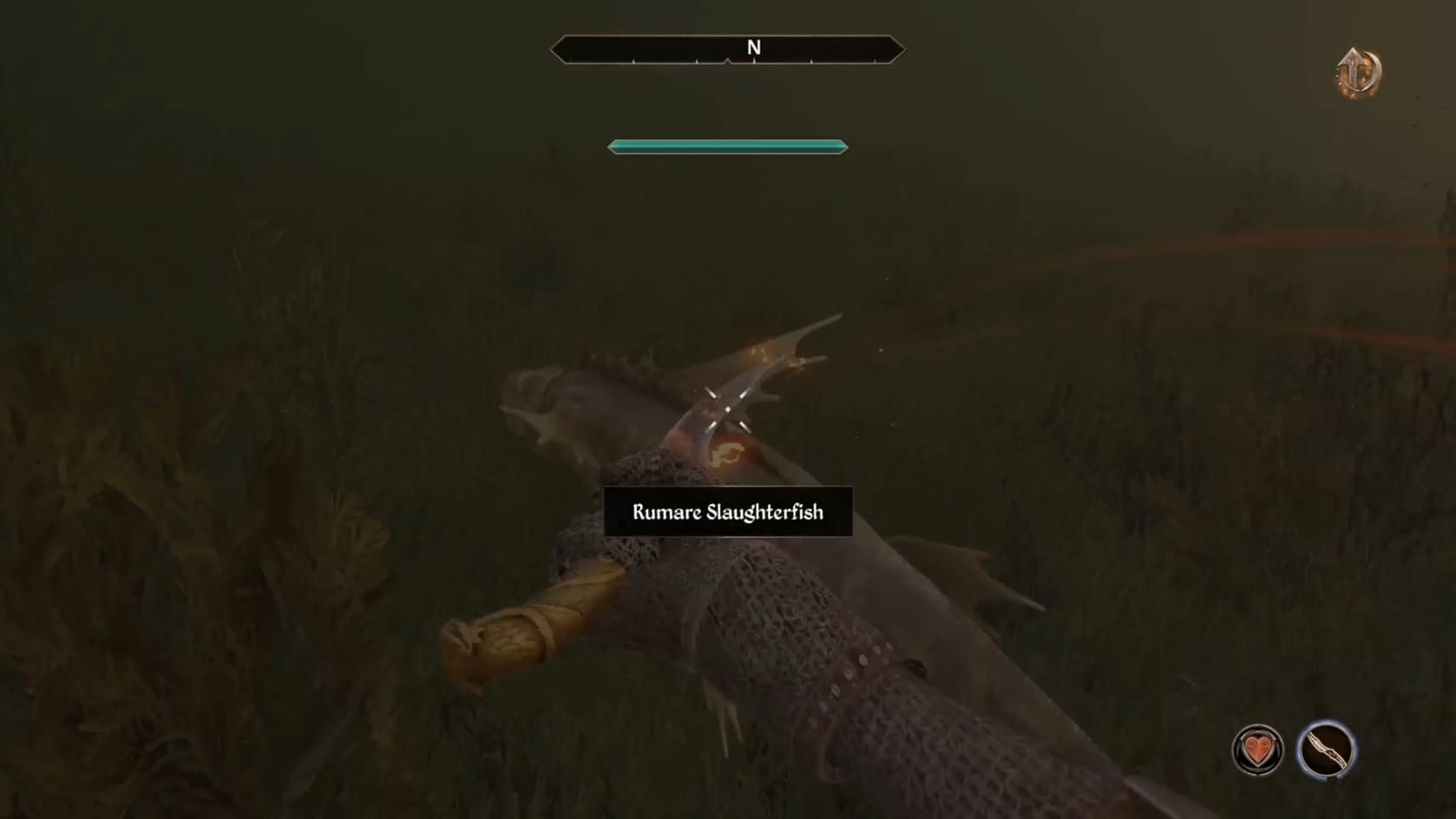 Attacking a Slaughterfish underwater