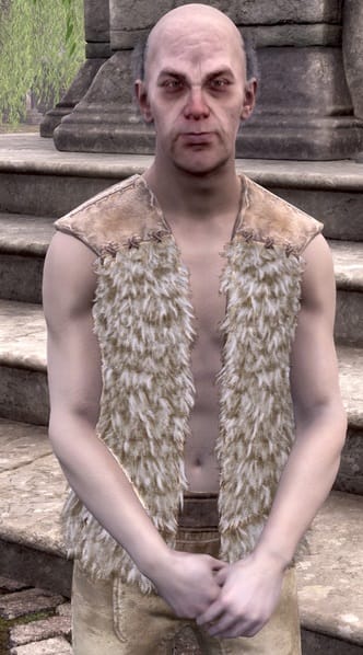 Bruccius the Orphan in Cheydinhal