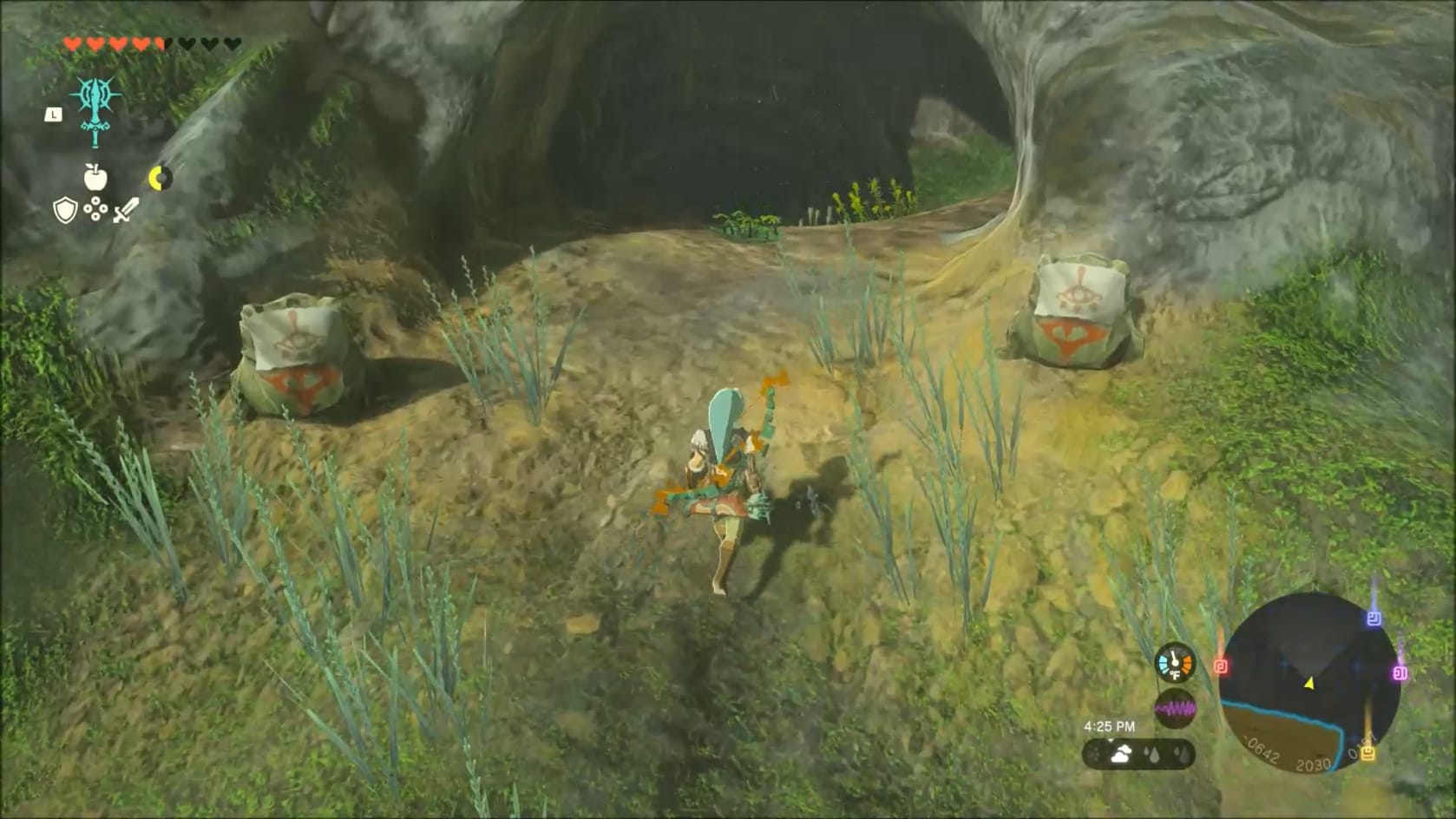 Link approaching the entrance of the Miritta Yiga Branch