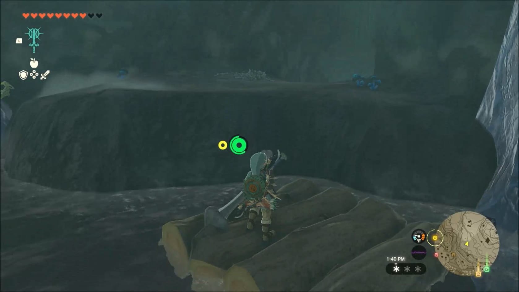 Link standing on the raft by the far side of the freezing pool