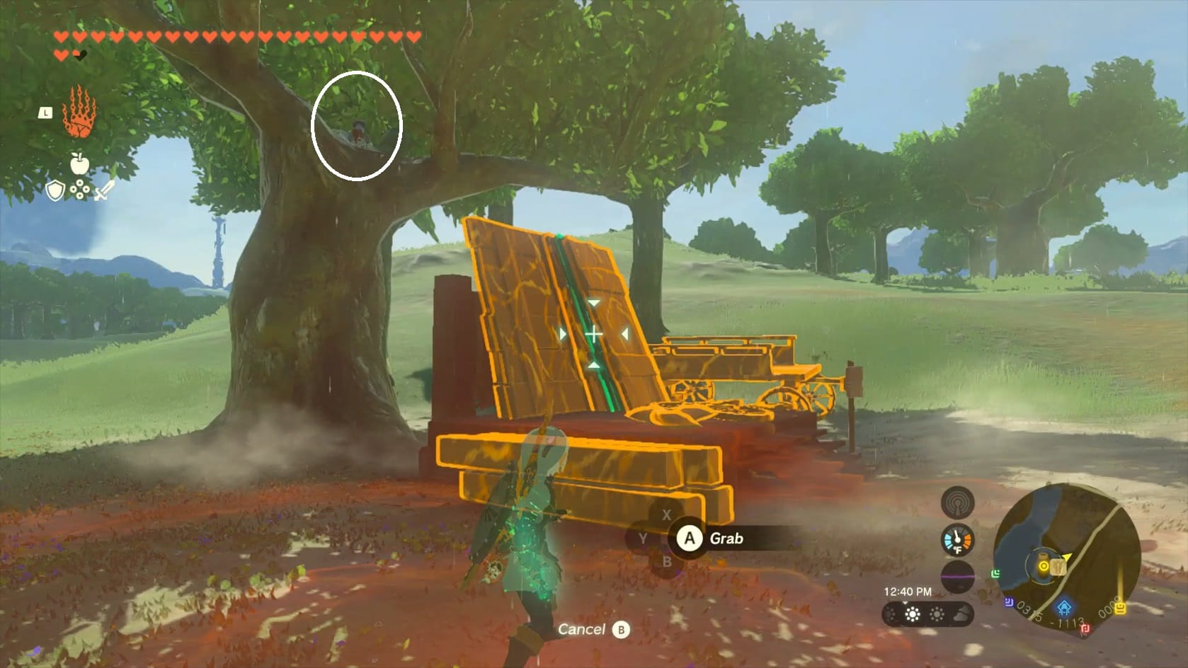 The Cucco found in the tree nearby the Construction Materials