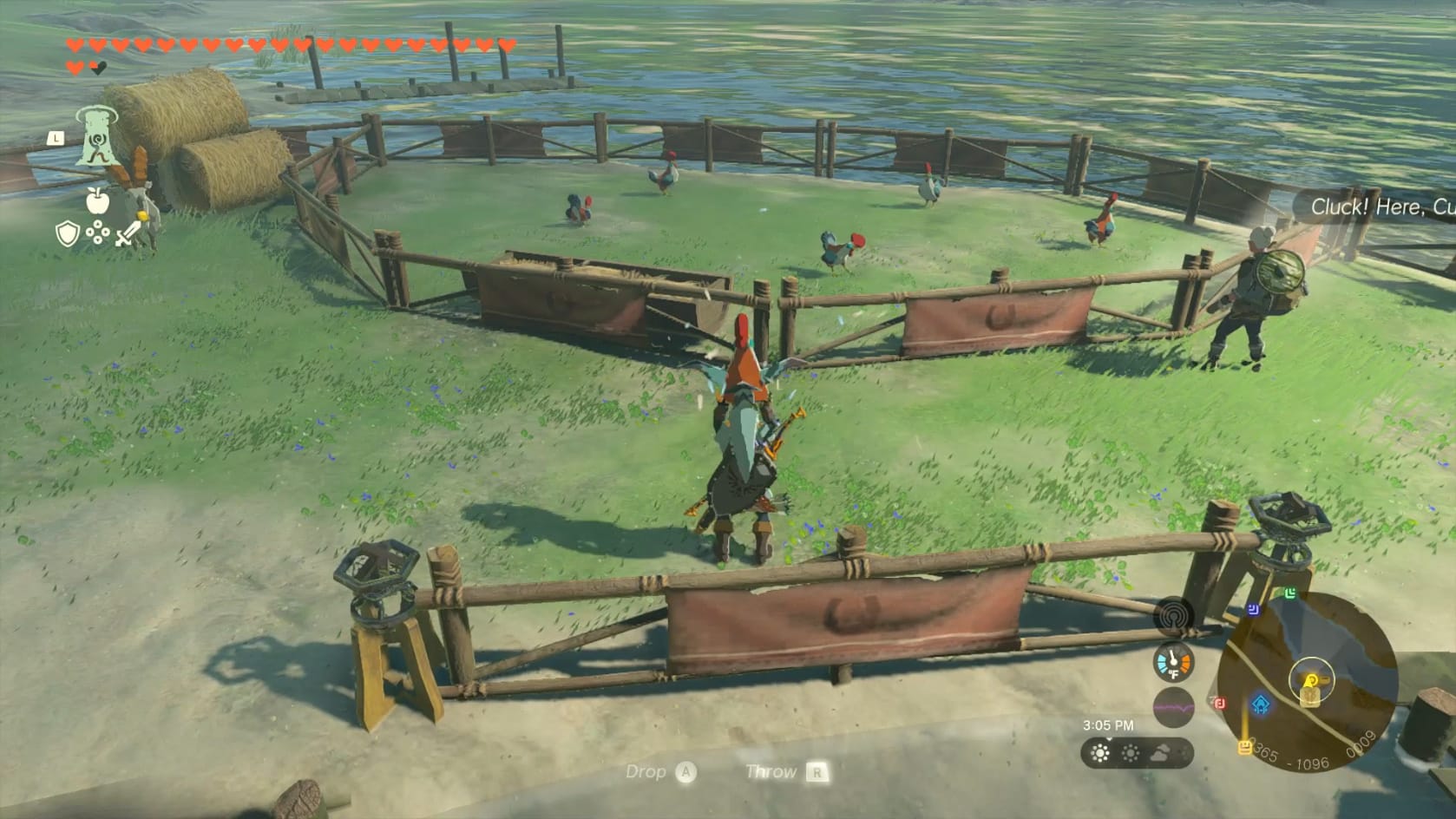 Link in position to throw the Cucco into its pen