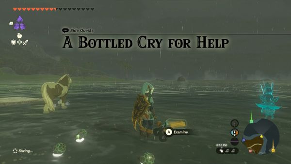 Tears of the Kingdom: A Bottled Cry for Help Guide