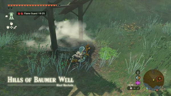 Link running by the Hills of Baumer Well