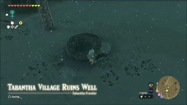 Legend of Zelda: Tears of the Kingdom – Tabantha Village Ruins Well Guide