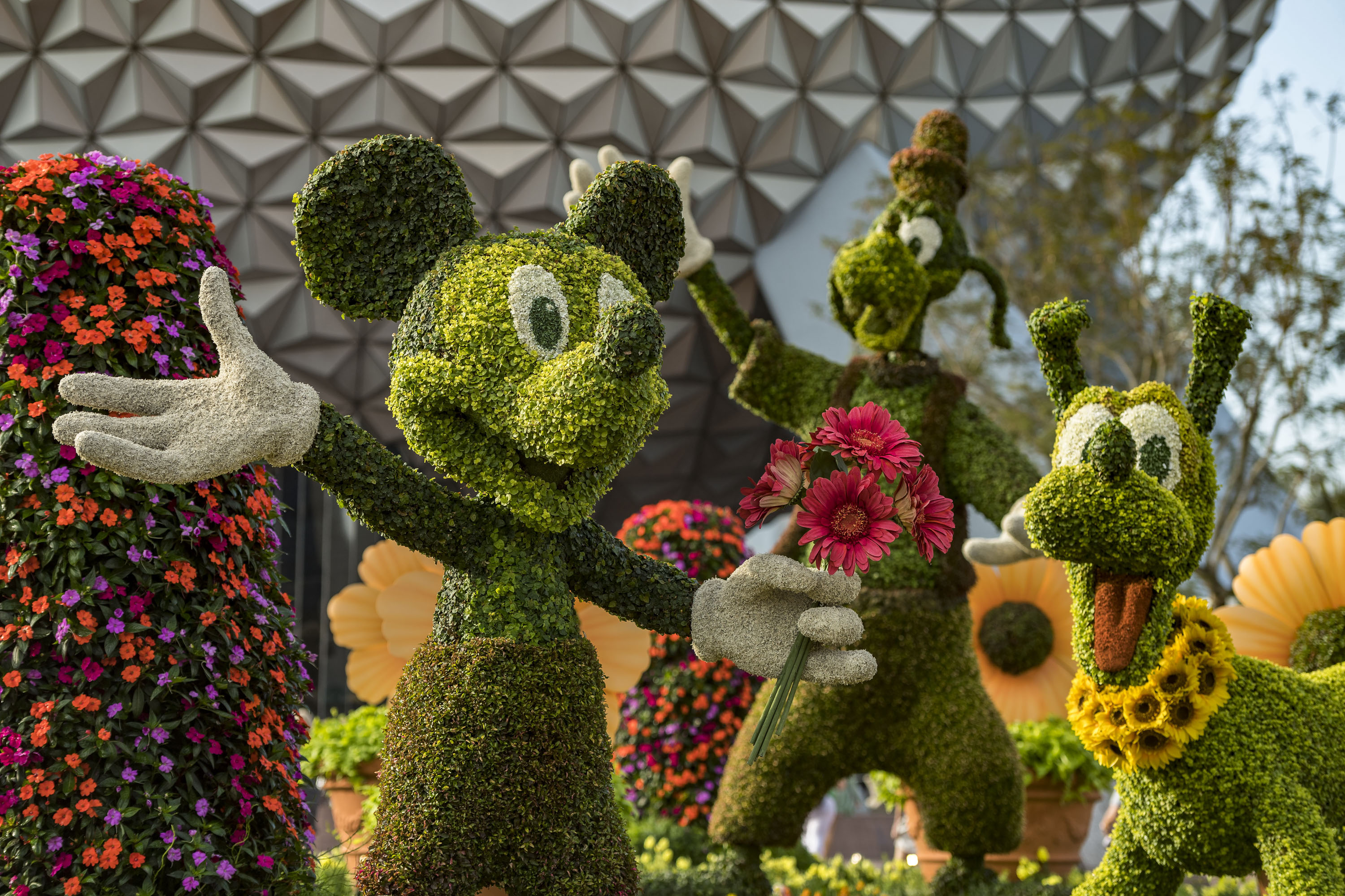 Monorail News