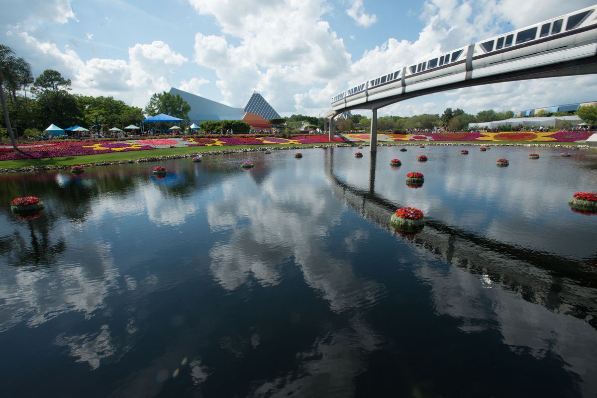 Walt Disney World Transportation Update