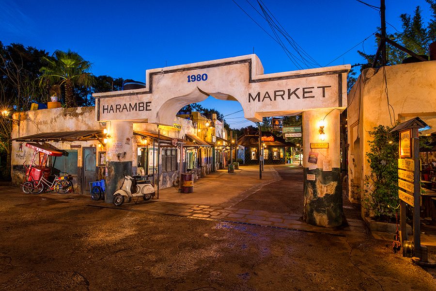 Circle of Flavors:  Harambe at Night Returns to Disney's Animal Kingdom on December 4