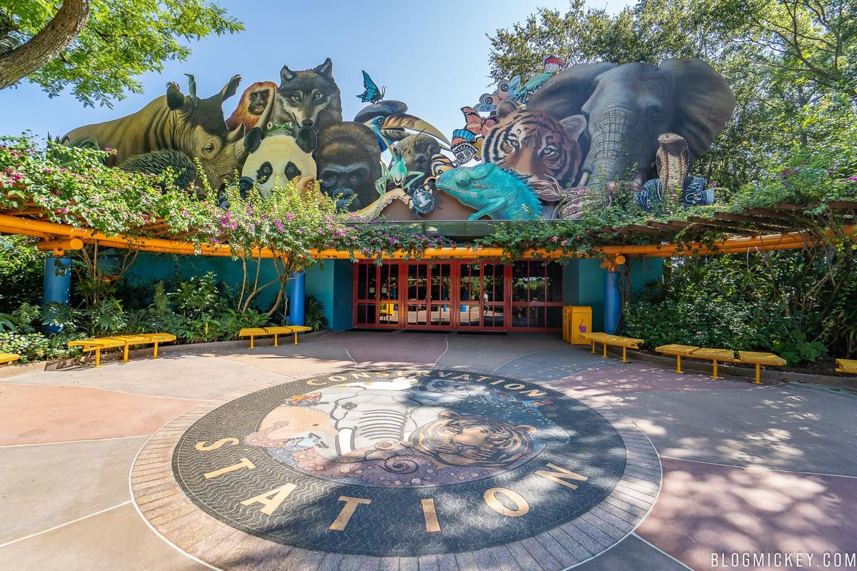 Rafiki’s Planet Watch to Reopen on July 11