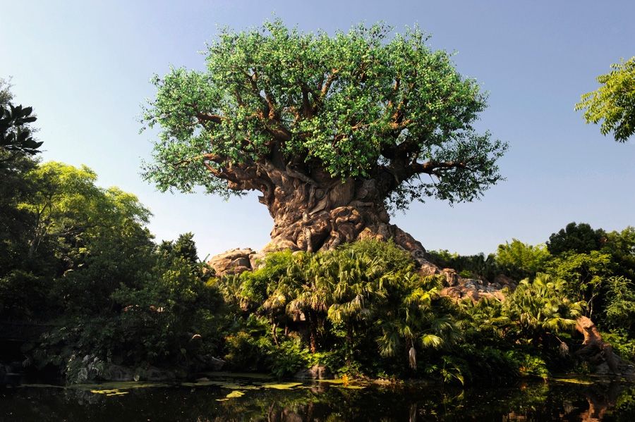 Disney Sued By Construction Worker