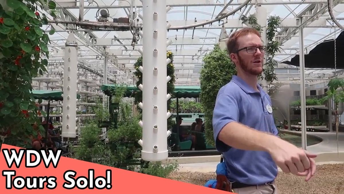 What It's Like to Go On a Disney World Tour Solo