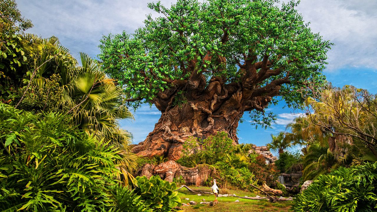 Reservations Now Open For Tiffins Talks with Joe Rhode at Animal Kingdom Park