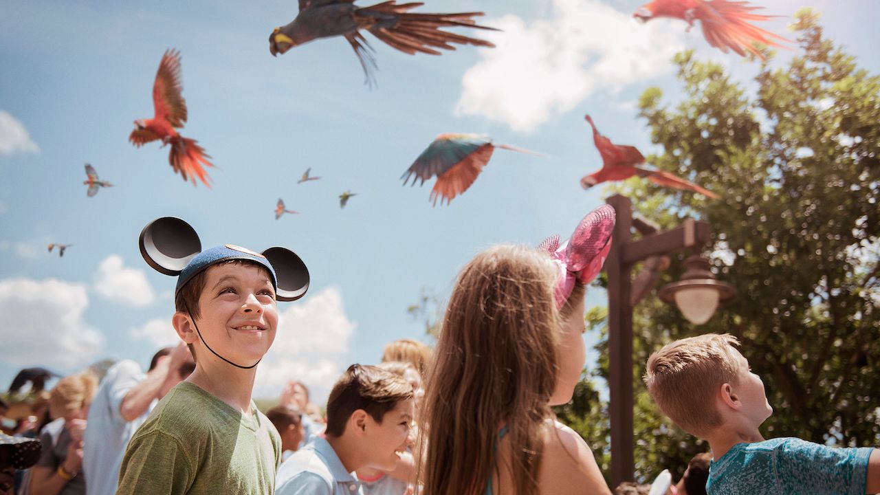 Have a Roaring Good Time With Joe Rhode at Animal Kingdom’s Party For The Planet