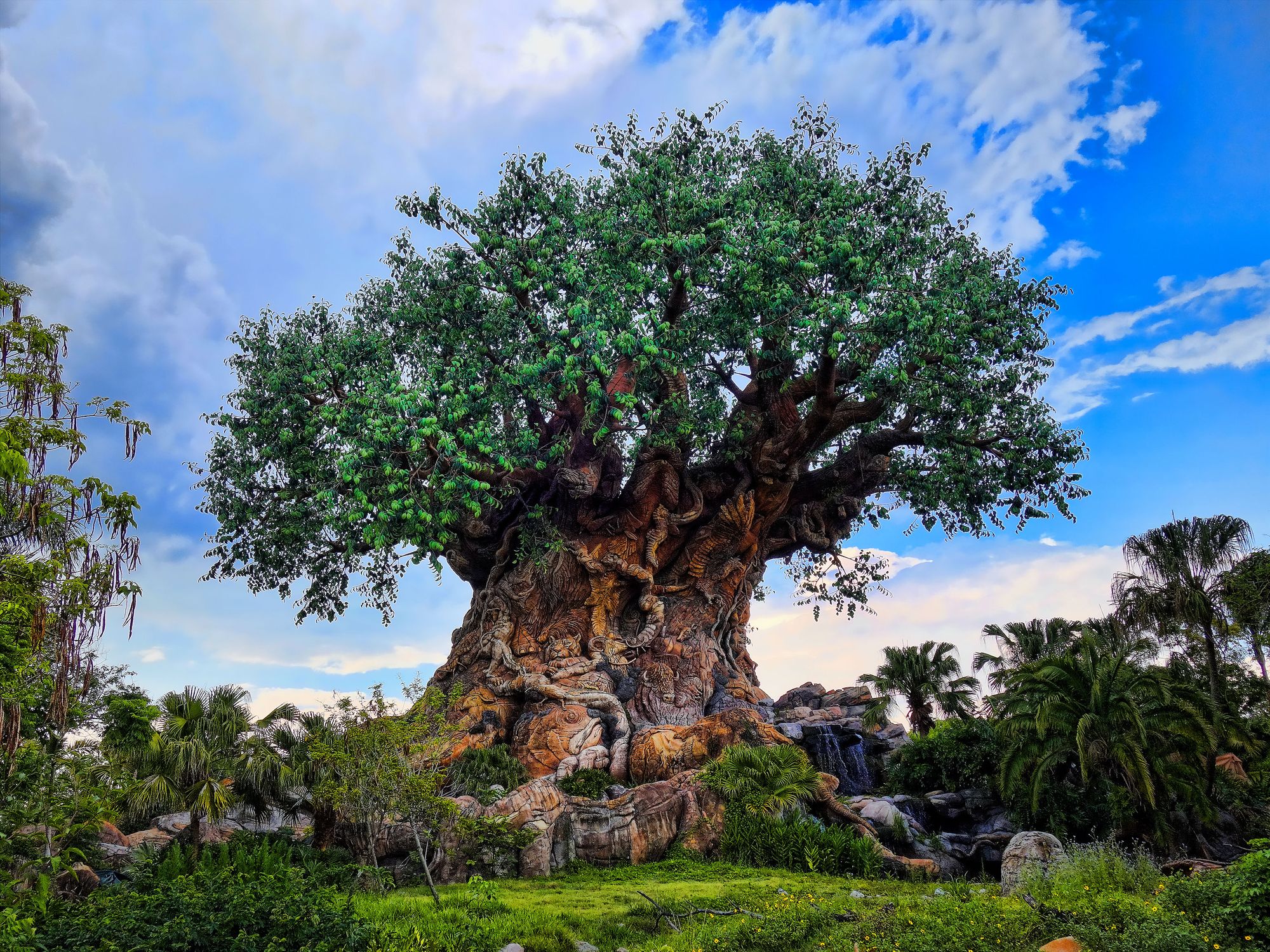 Expedition Everest at Disney’s Animal Kingdom Reopening on April 16th￼￼