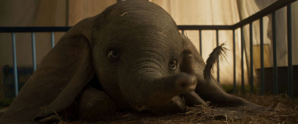 A Sneak Peek of the New Live Action Dumbo Coming to Walt Disney World, Disneyland, and Disney Cruise Line