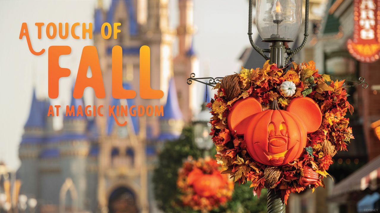 Modified Halloween Offerings Coming to Walt Disney World on September 15th