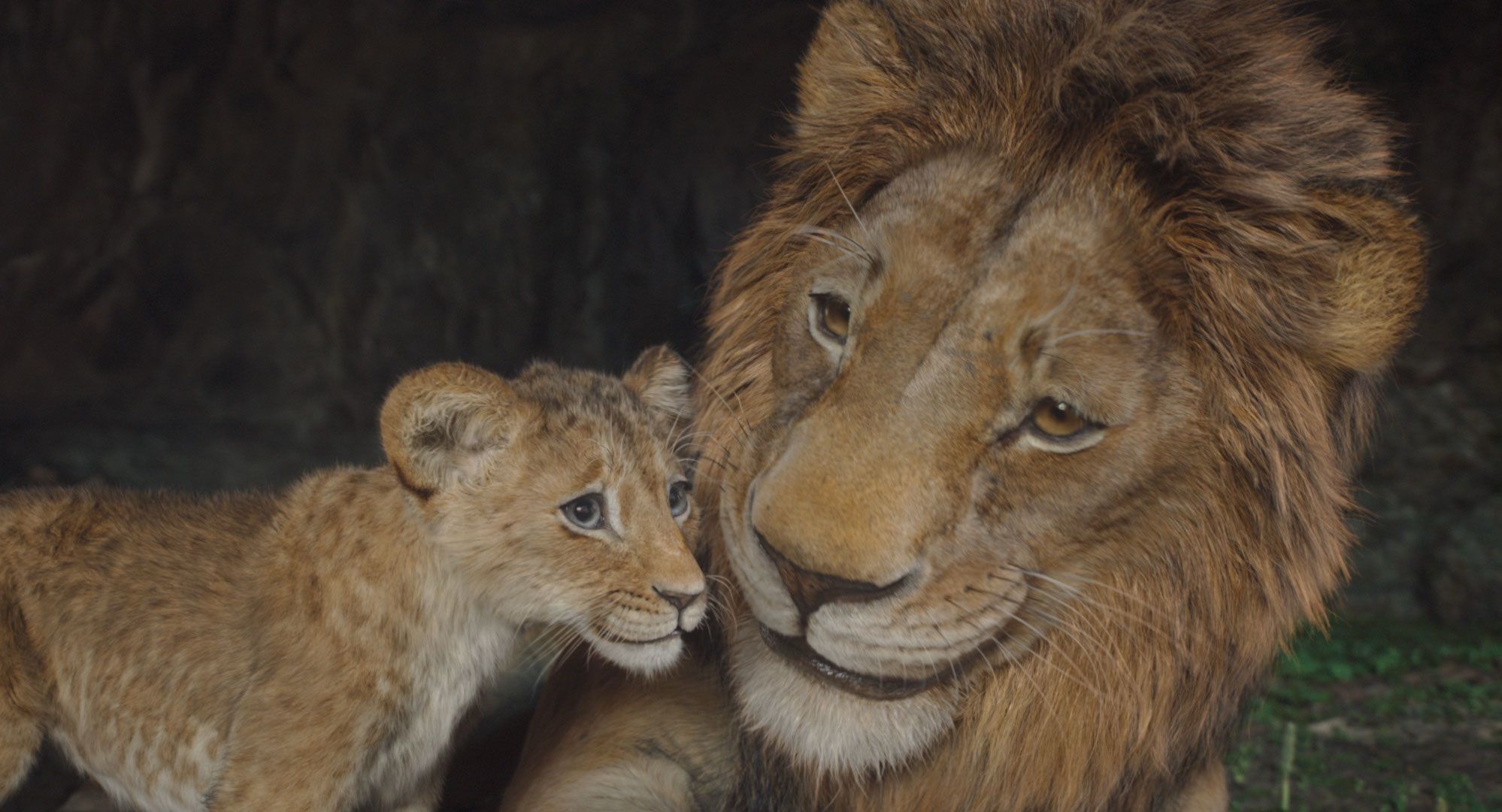 Disney’s “Mufasa” Roars Into Theaters With Pacing Issues but Great Music