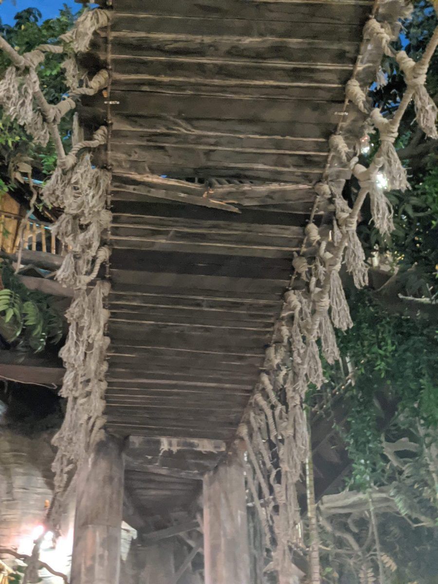Tarzan’s Treehouse Closed Indefinitely at Disneyland Park