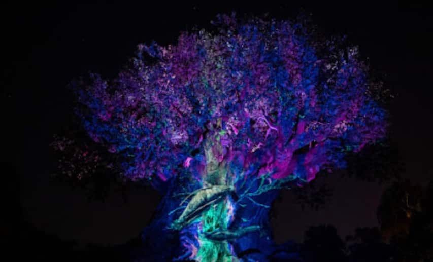 ‘Avatar:  The Way of Water’ Tree of Life Awakening Coming to Animal Kingdom