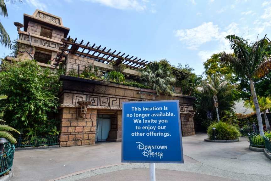 Could Rainforest Cafe Be Coming Back To Disneyland?