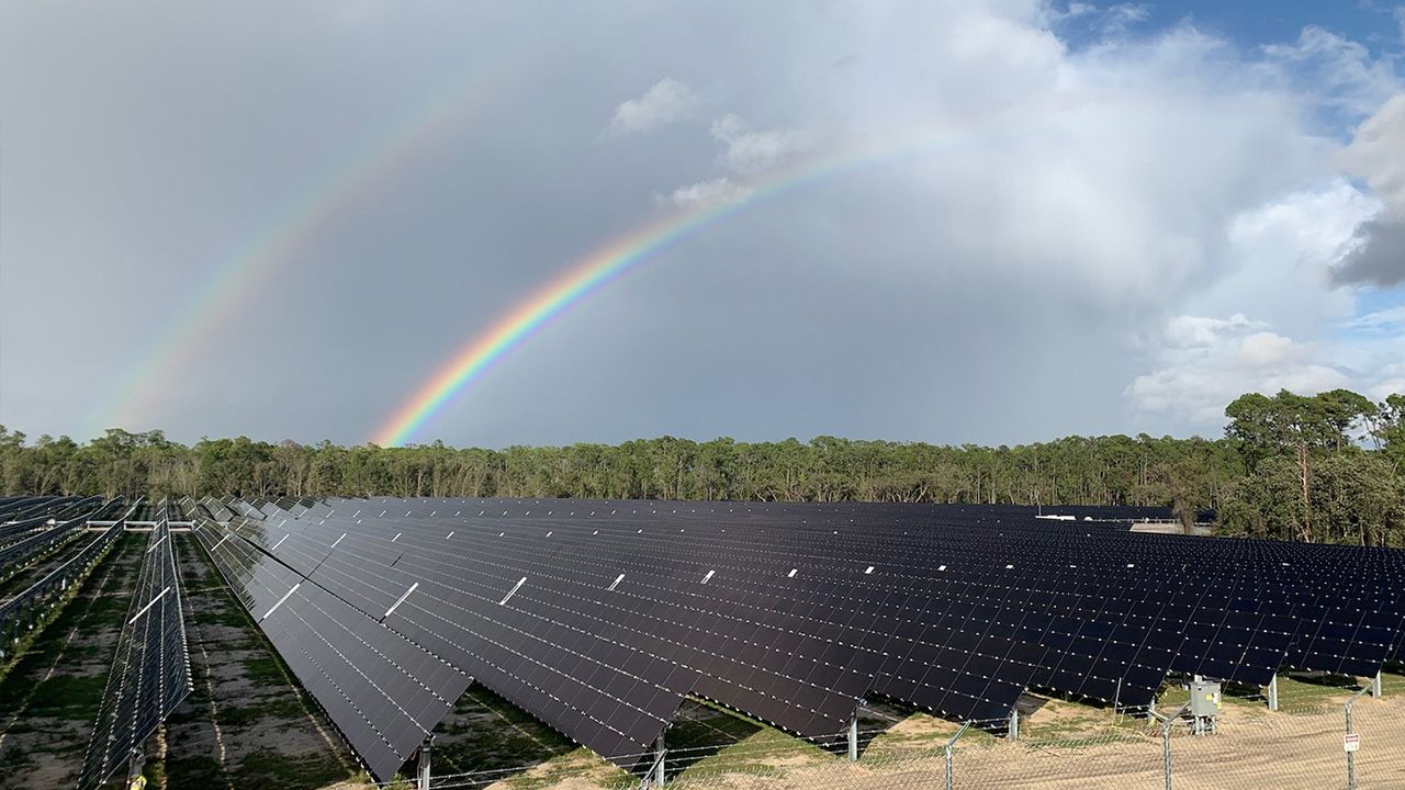 Disney's 270-Acre Solar Facility Now Online