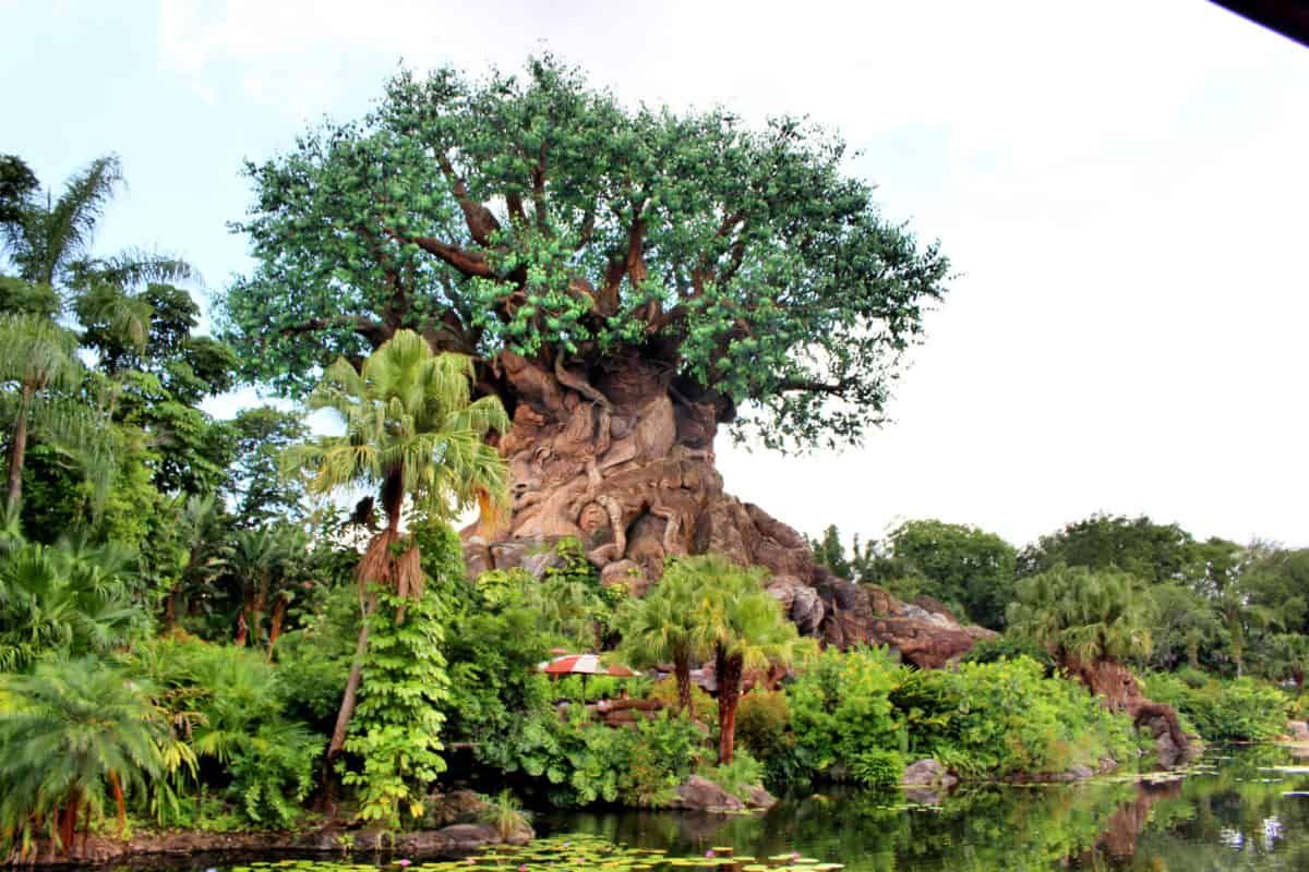 Extended Park Hours Announced for Disney's Animal Kingdom