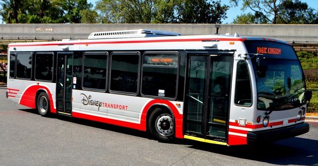 Disney Buses Collide Near Epcot; 15 Injured