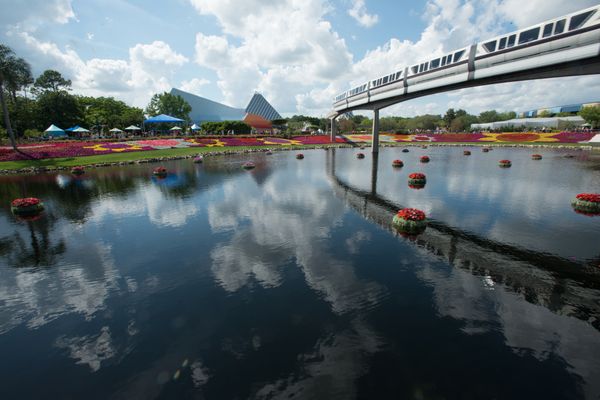 Walt Disney World Transportation Update
