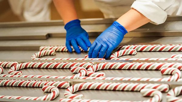 Disneyland 2018 Candy Cane Schedule Announced!