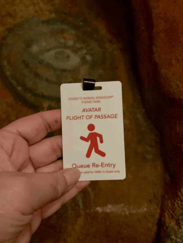 New Queue Re-Entry Pass Allows Guests To Leave and Re-Enter Avatar: Flight of Passage Queue in Disney’s Animal Kingdom