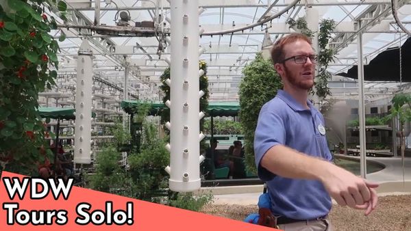 What It's Like to Go On a Disney World Tour Solo