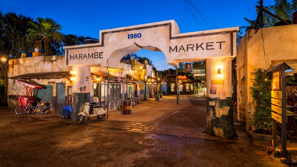 Circle of Flavors: Harambe at Night Coming to Disney’s Animal Kingdom