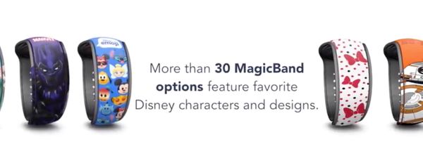 Walt Disney World to Allow Hotel Guests and Annual Passholders to Buy Enhanced MagicBands