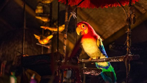 Disney Slams Tom Corless and WDWNT as "Unscrupulous"