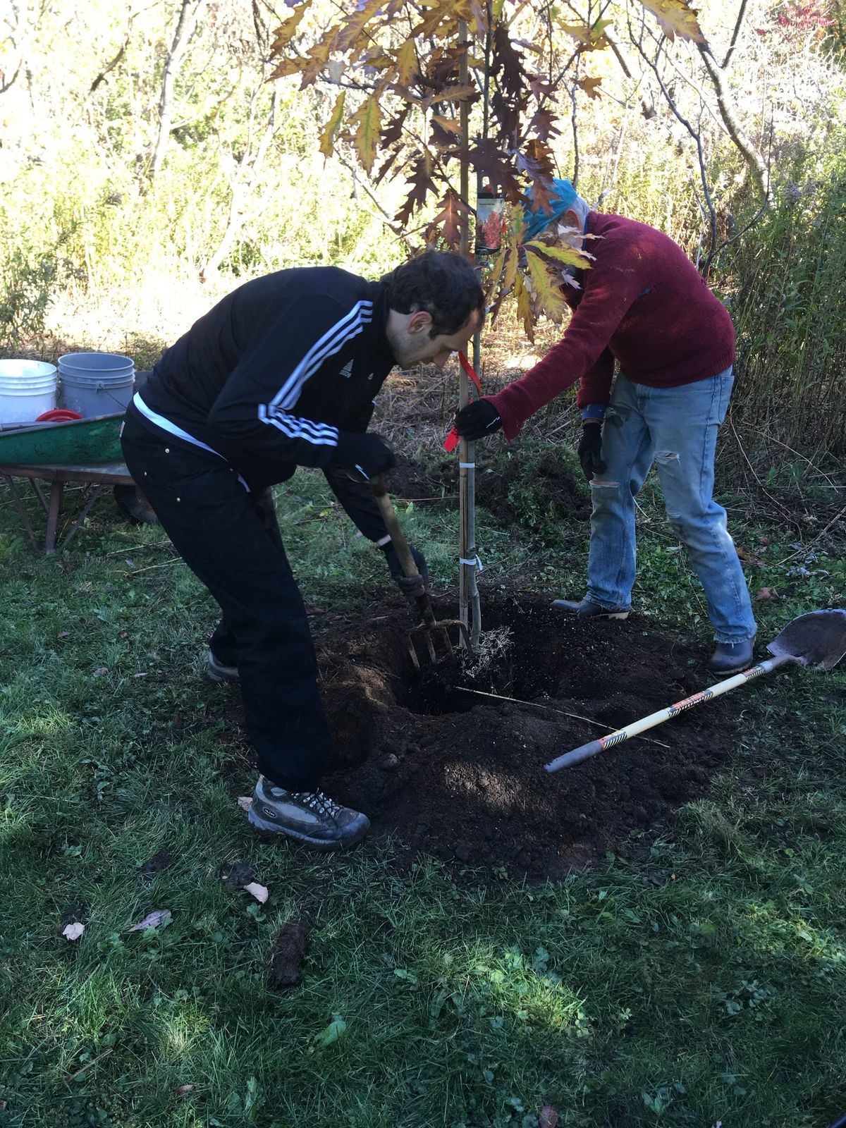 Volunteer Opportunity 5/16 @ 9am - Tree Planting at Tree Island aka Abazimenahanik (Abenaki)