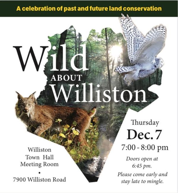 We are Wild About Williston!