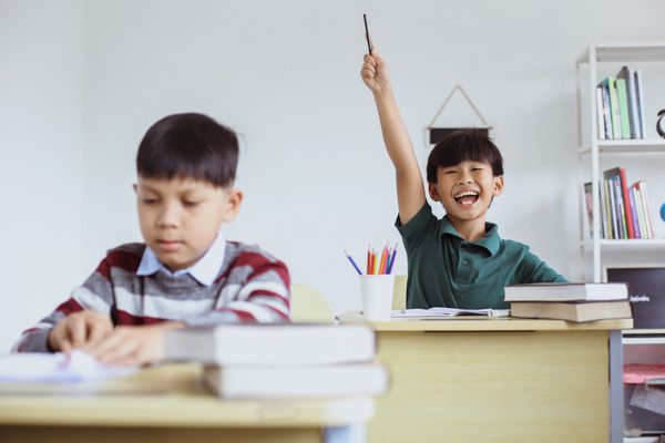 Programación Orientada a Objetos (OOP)