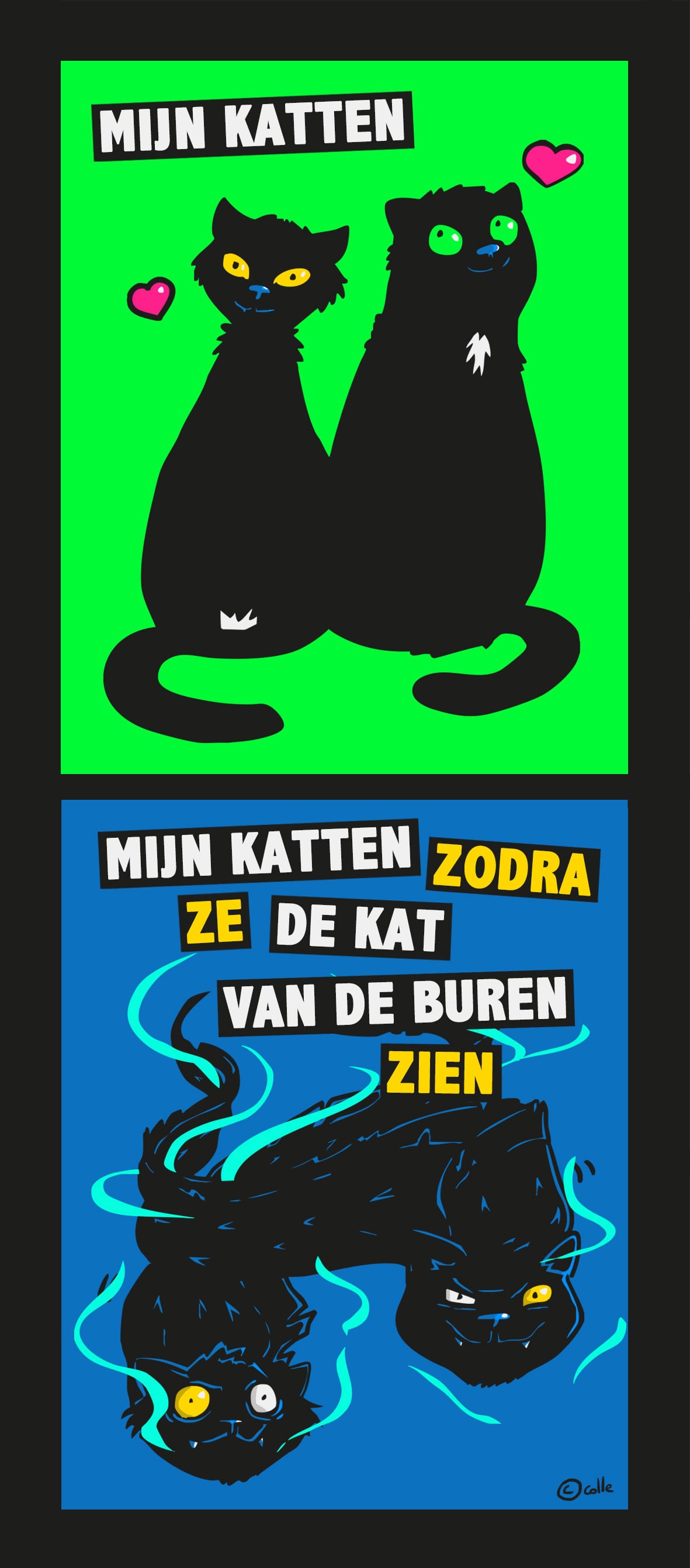 Mijn katten vs mijn katten zodra ze de kat van de buren zien.