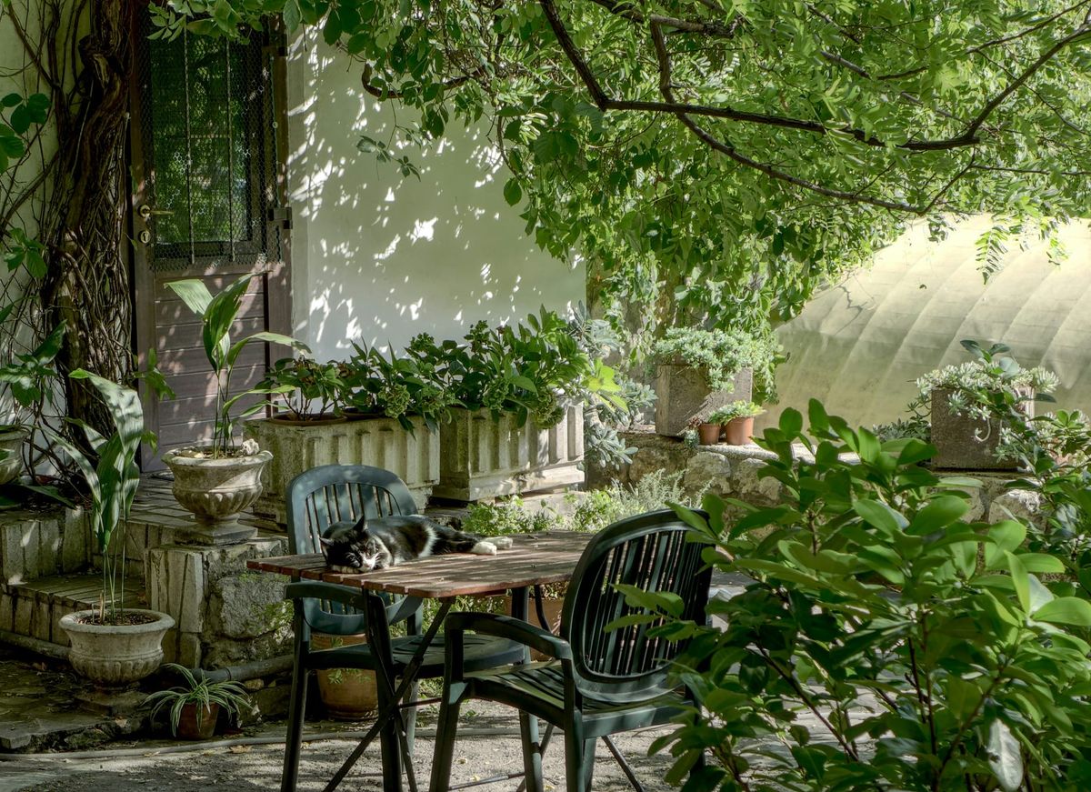 Gardening Services in Biratnagar