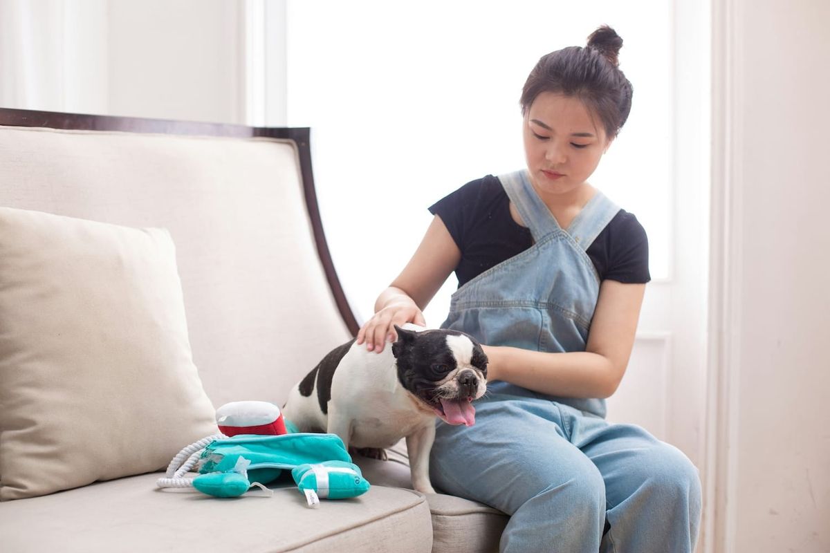Pet grooming in Kathmandu, Nepal