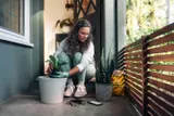Why gardening for mental wellness?