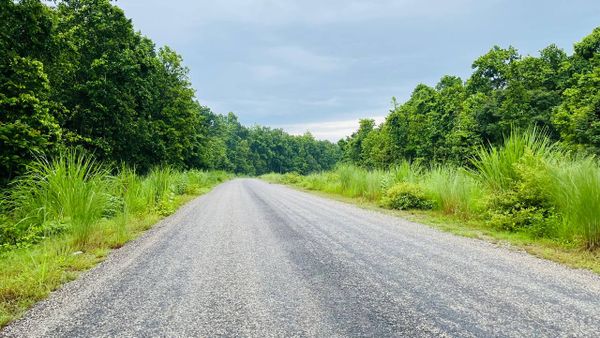 My Surroundings – Shuklaphanta National Park