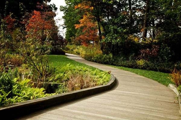 Gardening Services in Nepal: Transform Your Outdoor Space with Garden Sewa
